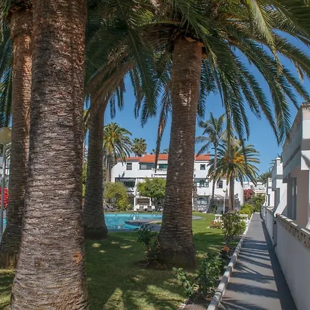 Rosales Playa Cancajos.- BreNa Baja (la Palma)